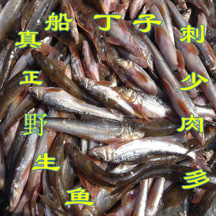 黑龙江乌苏里江东北抚远纯江鱼川丁子鱼船钉子4斤顺丰包邮