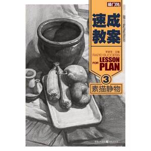 速成教案3素描静物 李家友著 美术素描速写教材 素描静物临摹书 素描入门基础教程书籍 绘画美术写生教程 高考艺考联考 临摹写生