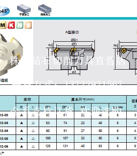 株洲面铣刀盘FMA02-050-A22-SE12-03 FMA02-063-A22-SE12-04