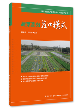 蔬菜高效茬口模式