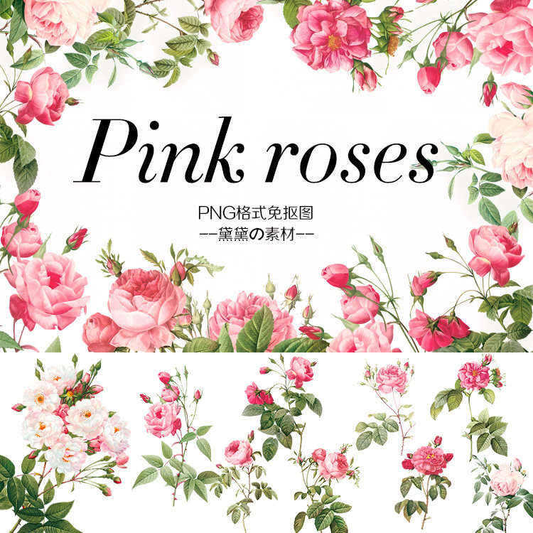 水彩手绘png免抠高清粉色玫瑰花卉花朵图片卡片设计美化装饰素材