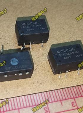 B2409XT-2WR2 输入24VDC 输出9V 0.22A 2W 电源模块 原装正品