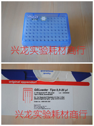 eppendorf0030001.222艾本德GELoader凝胶上样吸头20ul点样枪头