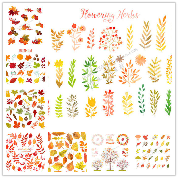 a2354矢量水彩卡通手绘秋天落叶树叶图案 ai设计素材