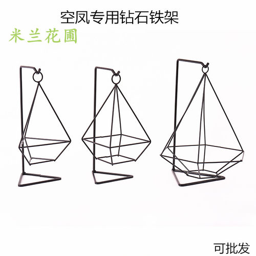 室内绿植空气凤梨三棱花器