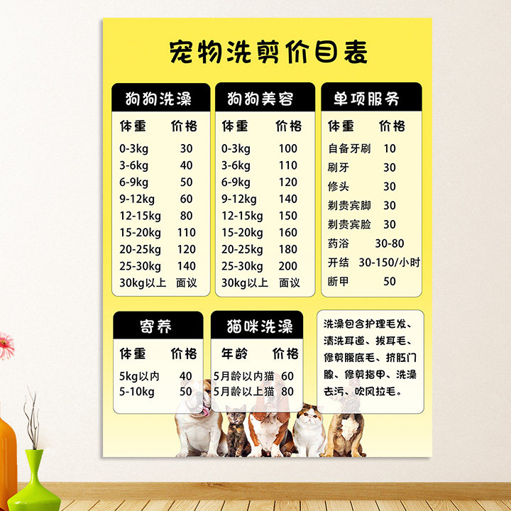 开元棋牌- 开元棋牌官网 - 开元棋牌APP下载适合家里养的小宠物