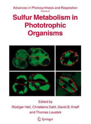 【预订】Sulfur Metabolism in Phototrophic Or...