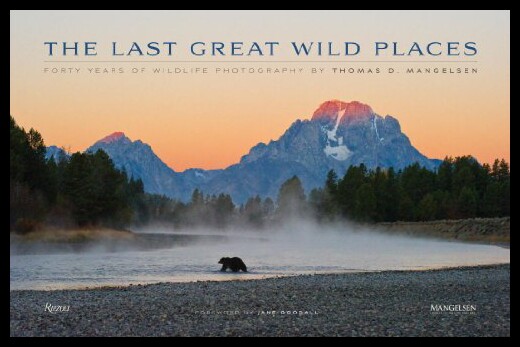 【预售】The Last Great Wild Places: Forty Years of Wildli