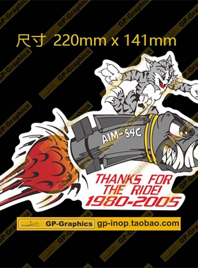 GP-Graphics 大号长谷川爱德美F14不死鸟AIM54贴纸车贴行李箱帖