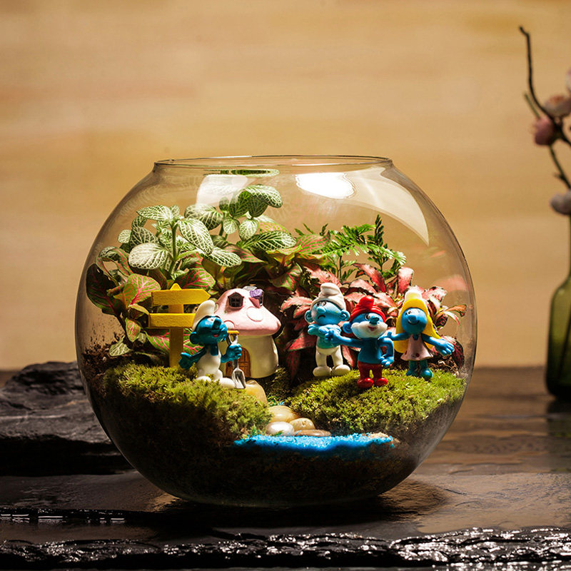 微景观玻璃瓶 diy材料苔藓生态瓶 小盆栽景观盆栽桌面水培微景观|ruв категории доставка цветов/цветок моделирования/растения садоводства, творческие мини - растений - от Buy2taobao.com для оказания профессиональной услуги покупки агента Taobao