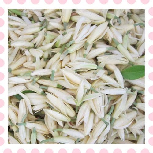 白兰花做纯露精油泡酒闻香花材