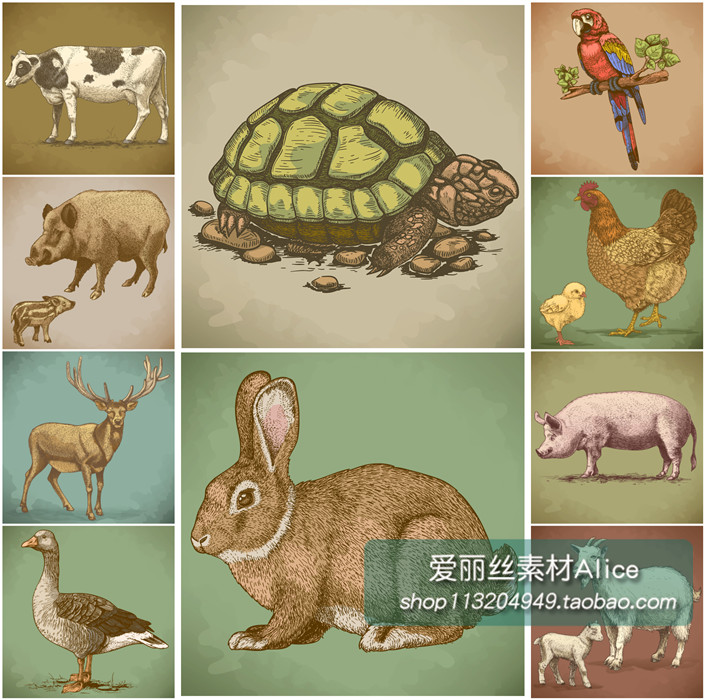 [389]复古动物乌龟兔子奶牛猪羊鸡鹦鹉羚羊鸭子 AI矢量设计素材