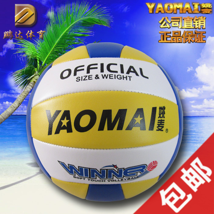 Ballon de volley - Ref 2016651 Image 1