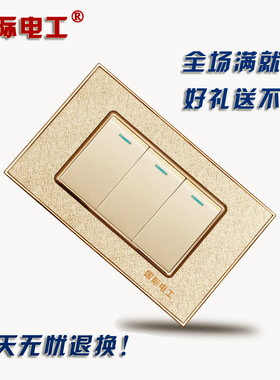 118型开关插座国际电工