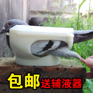 新款鸽子固定器一个人轻松打针喂药看鸽眼送信鸽辅液器鸽具鸟用品