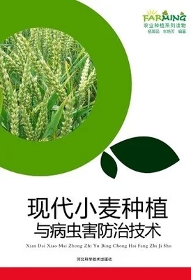 此系10本以上包邮 现代小麦种植与病虫害防治技术 农业实用推广手册