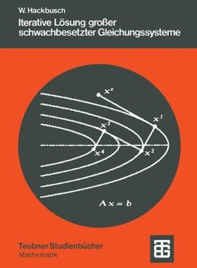 【预售】Iterative Losung Grosser Schwachbese...