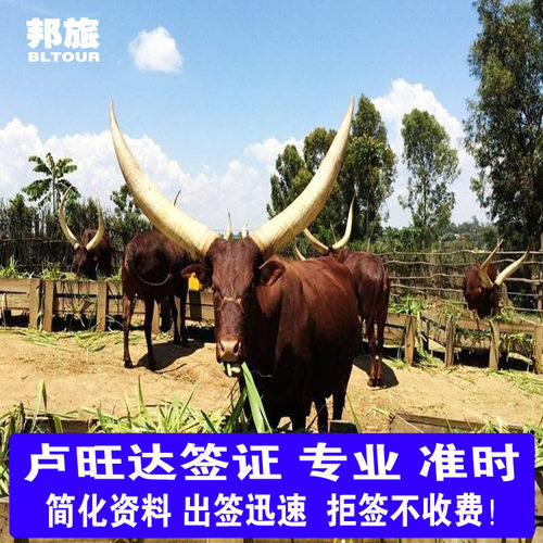 卢旺达签证 卢旺达旅游签证 卢旺达电子签批文  卢旺达旅游落地批文  卢旺达商务签证  拒签不收费 - 封面
