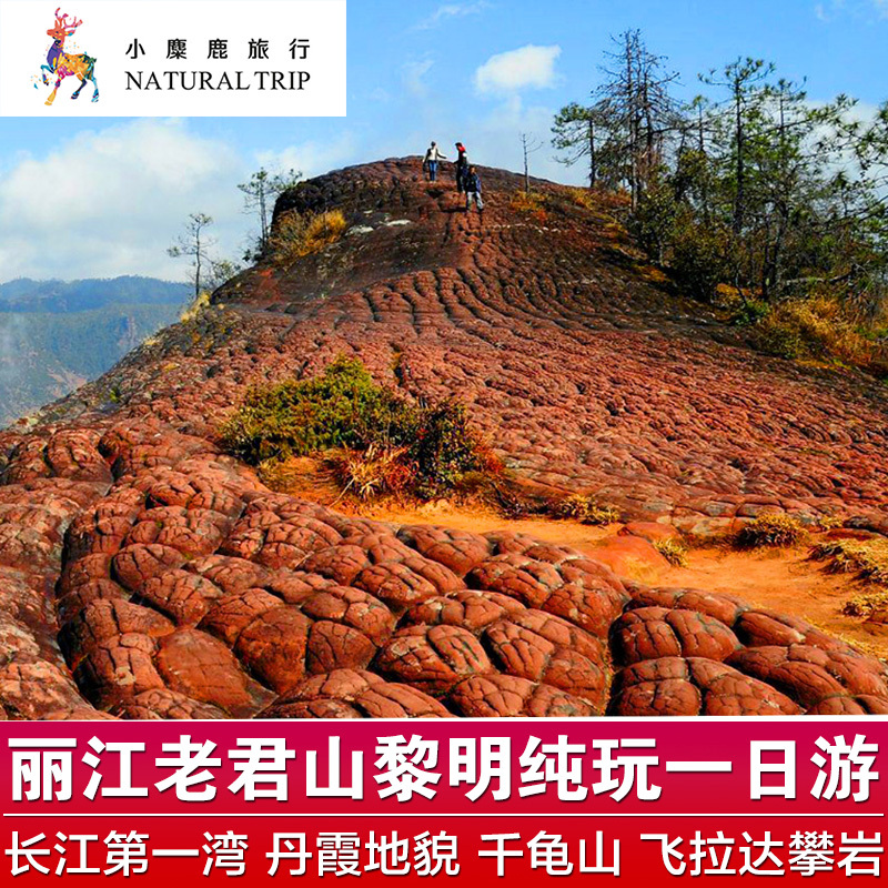 丽江老君山千龟山一日游纯玩黎明景区丹霞地貌索道飞拉达攀岩徒步