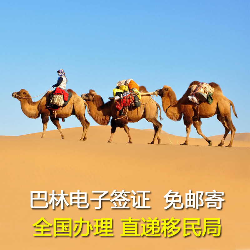 巴林签证  旅游签证 商务签证 电子签证