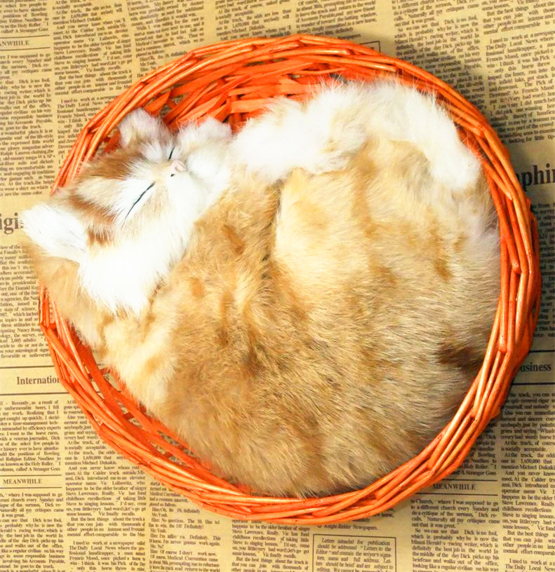 动物模型道具仿真猫