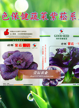 绿色保健蔬菜 青菜种子 紫菘一号  紫菘三号种子 香甜味美 1500粒