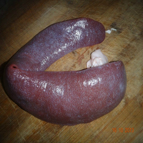 深山农家散养土猪肉之年猪内脏猪脾一条另有猪