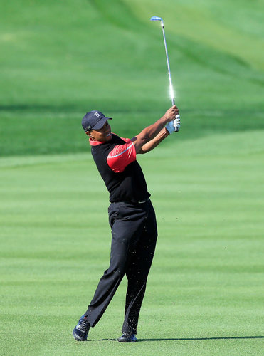 高尔夫明星海报老虎伍兹房间客厅海报装饰高尔夫球会所挂画T2759A