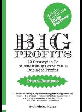 【预售】Big Profits