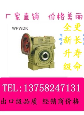 WPWDKS 40/50/60/70/80/100/120/135/155/175蜗轮蜗杆 WP减速机