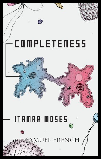 【预售】Completeness