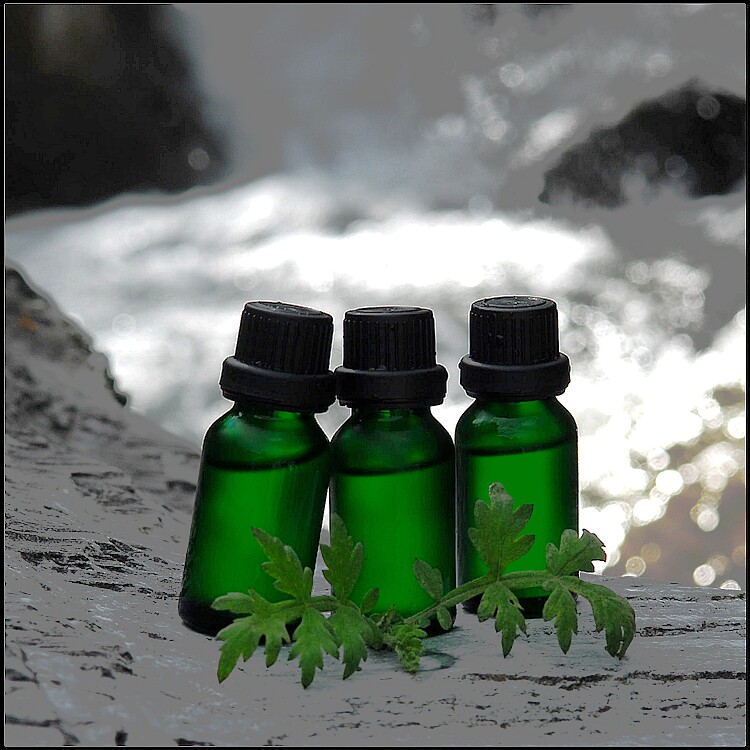野沃肥蕨之纯生态薰衣草精油 传统手工精油 柴火烤制 醒目薰衣草在类目 美容护肤/美体/精油, 精油芳疗, 单方精油中 - 来自Buy2taobao.com提供专业的淘宝代购服务