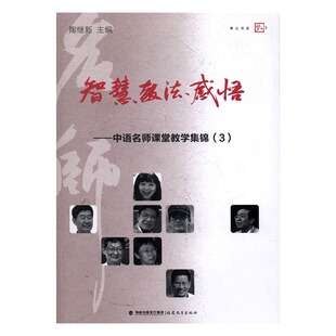 陶继新 畅想畅销书 智慧·教法·感悟 书店 书 中语名师课堂教学集锦 课堂教学书籍