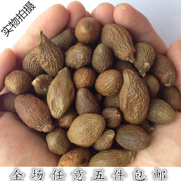 胖大海润喉茶  胖大海茶  胖大海 500克包邮搭配麦冬 金银花