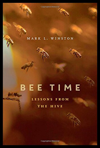 【预售】Bee Time: Lessons from the Hive