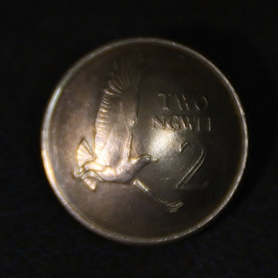 铜币20.5mm 手工制作养牛硬币扣 一飞冲天 财布扣 D27一08 真硬币