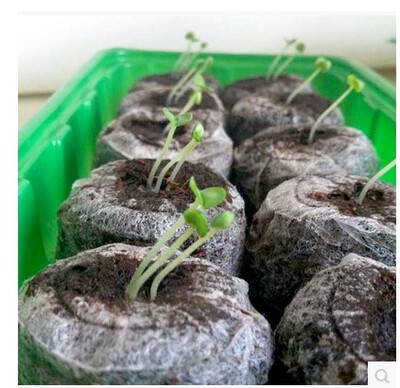 国产爱家育苗块营养基质块便捷宝30毫米mm/挪威Jiffy捷菲