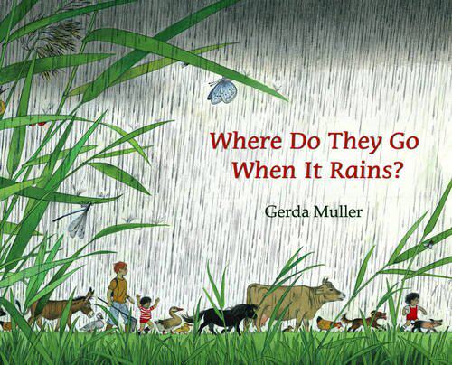 【预售】Where Do They Go When It Rains?