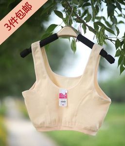 三件包邮中老年纯棉小背心女全棉内衣背心式文胸老妈夏季吊带汗衫