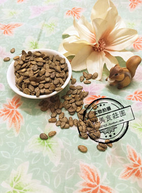 【逼林家】首家松鼠天然生西瓜子 健胃化痰 飞鼠松鼠粮食松鼠食物