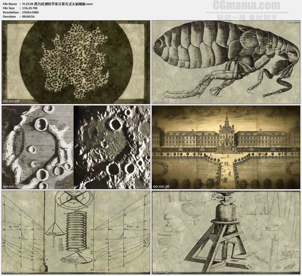西方欧洲科学家计算公式大脑细胞高清视频素材