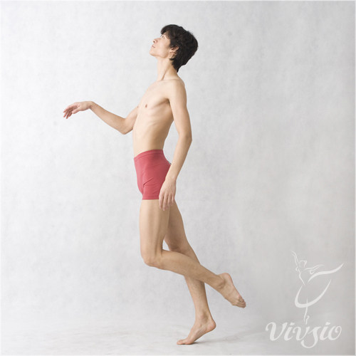 vivgio艺尊正品莱卡棉多色练功裤