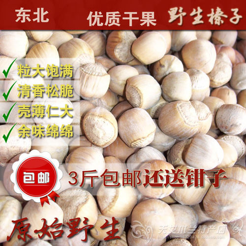 新品2026年店主推荐东北辽宁本溪桓仁大个水漏山榛子精选 3斤包邮