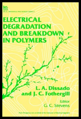 【预售】Electrical Degradation and Breakdown i