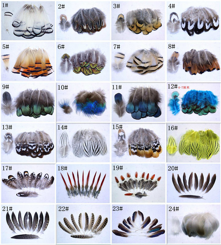 纯天然原色尾巴孔雀羽毛饰品配件