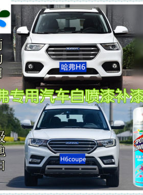 哈弗简约h6coupe极地白划痕修复