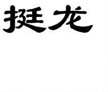 挺龙R标25类商标转让出售低价入住天猫京东商城