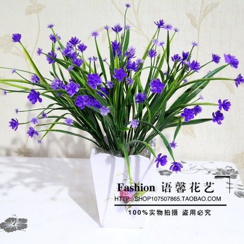 茶花花艺价格 茶花花艺图片 星期三