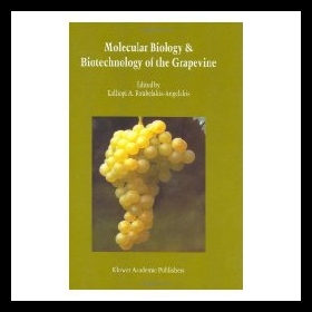 【预售】Molecular Biology and Biotechnology of Grapevine