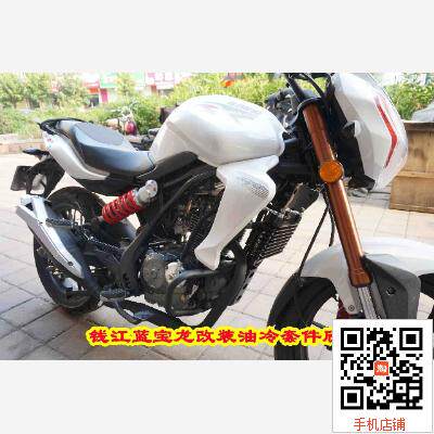 钱江龙19c/蓝宝龙摩托车改装油冷机油散热器专用